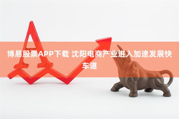 博易股票APP下载 沈阳电商产业进入加速发展快车道