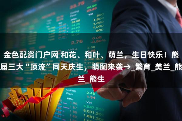 金色配资门户网 和花、和叶、萌兰，生日快乐！熊猫届三大“顶流”同天庆生，萌图来袭→_繁育_美兰_熊生