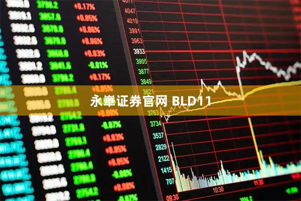 永崋证券官网 BLD11