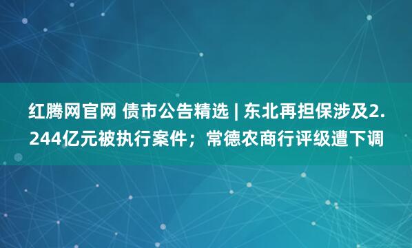 红腾网官网 债市公告精选 | 东北再担保涉及2.244亿元被执行案件;常德农商行评级遭下调