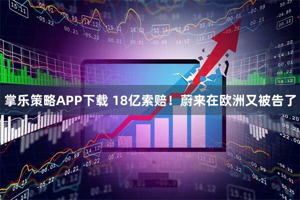 掌乐策略APP下载 18亿索赔！蔚来在欧洲又被告了